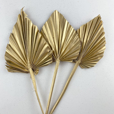 Gold Palm Spears