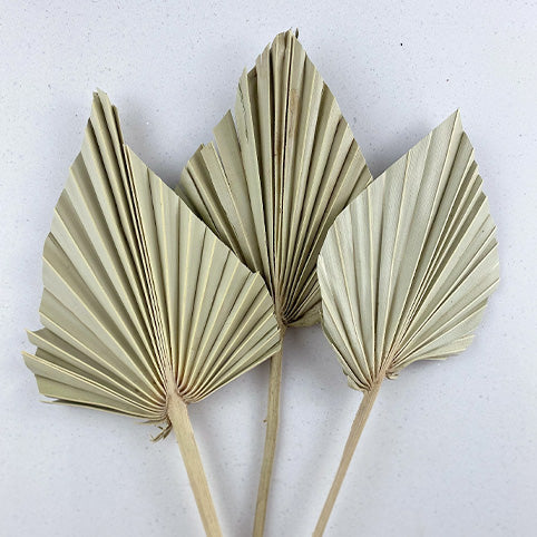 Natural Palm Spears
