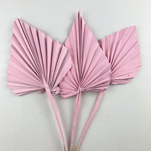Pink Palm Spears